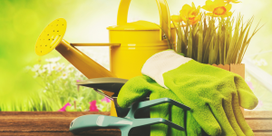 Read more about the article Spring Outdoor and Garden Maintenance